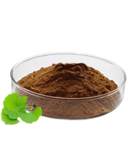 Estratto Di Foglie Di Ginkgo Biloba