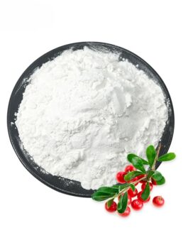 Alpha Arbutin Polvere Pura