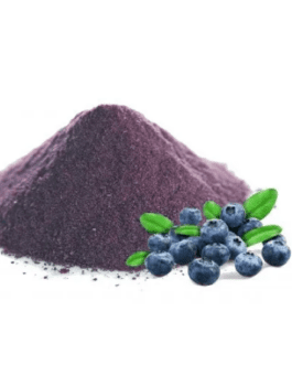 Polvere Di Mirtillo Liofilizzata