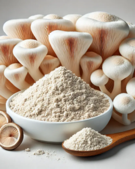 Estratto Hericium Erinaceus Criniera di Leone