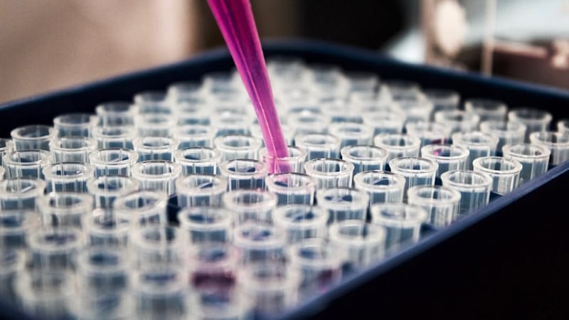 Provette laboratorio analisi NMN NAD integratori longevita